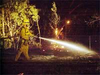 Brush Clearance